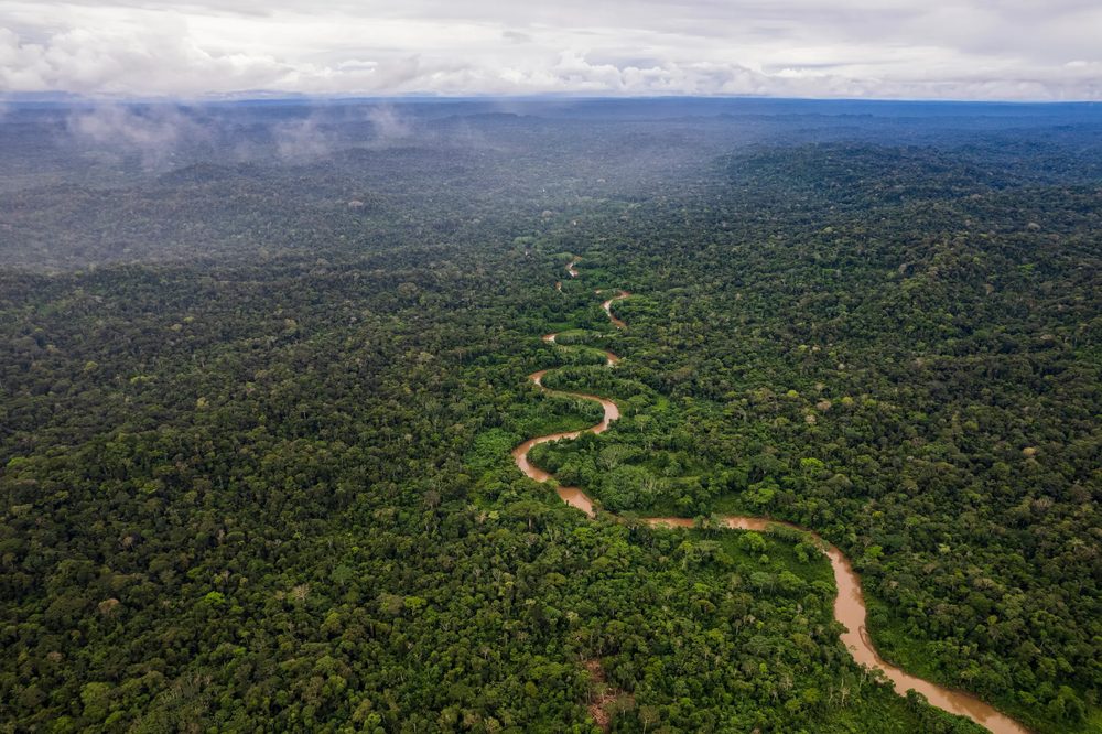 Amazon rainforest river