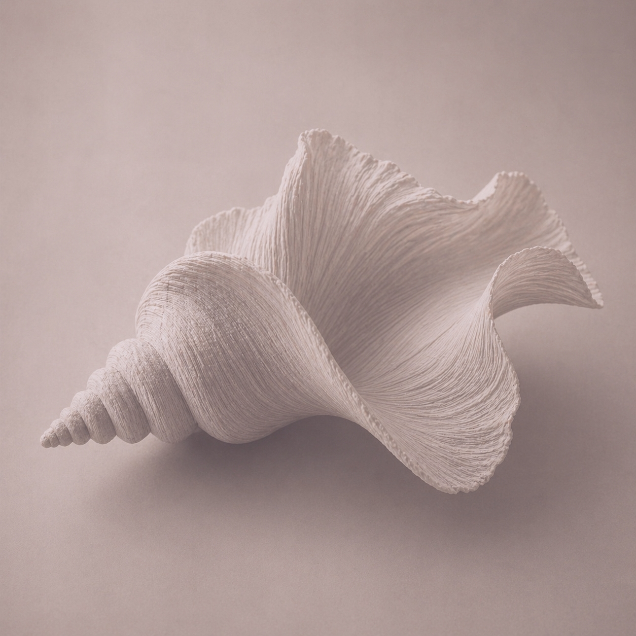 shell