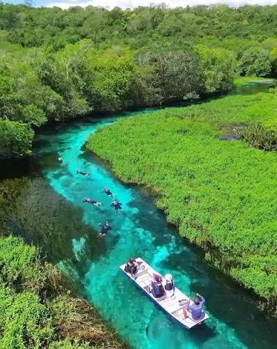 Bonito crystal-clear river